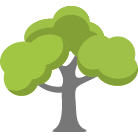 Carmel Tree Removal Service